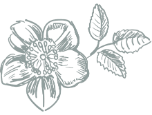 Create special Moments for Mum 